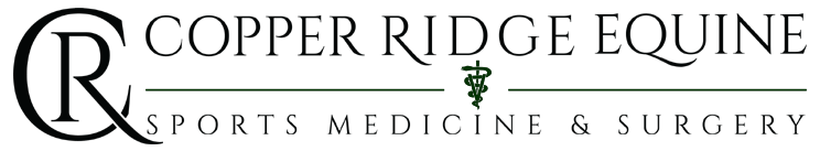 Arizona Equine Vet